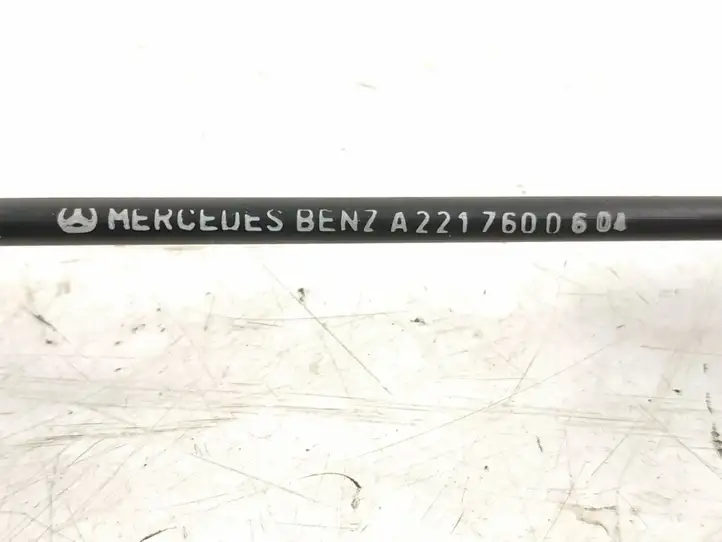 Mercedes-Benz S W221 (2005 - 2013) DALISID4945 Замок задней двери — фото 8