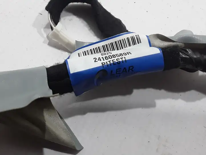 Renault Talisman (2015 - )  241608589R Другой проводник