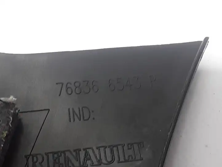 Renault Talisman (2015 - ) 768366543R Внутренняя отделка переднего порога — фото 2