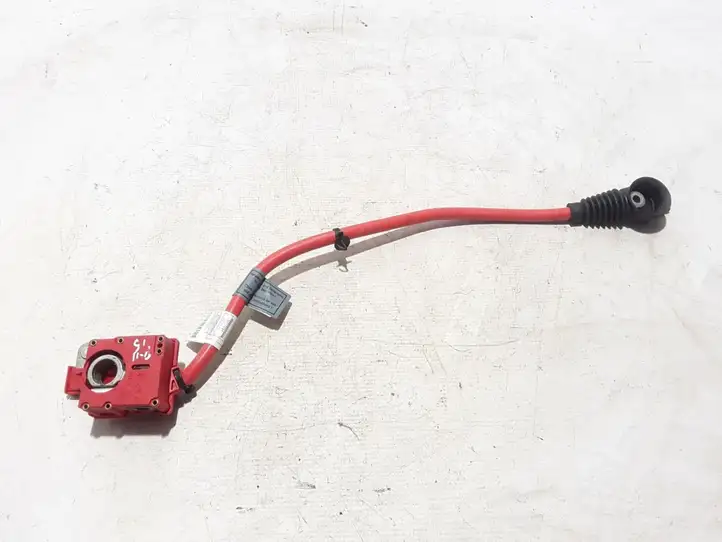 BMW 5 F10 F11 (2009 - 2016)  9217036 Плюсовый провод (аккумулятора)