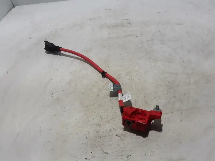 BMW 5 F10 F11 (2009 - 2016)  9217036 Плюсовый провод (аккумулятора)