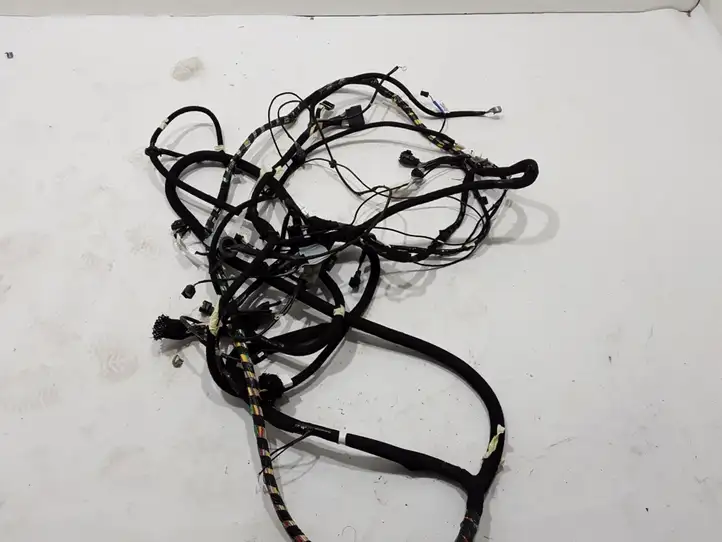 Renault Trafic III (X82) (2014 - )  241639537R Другой проводник