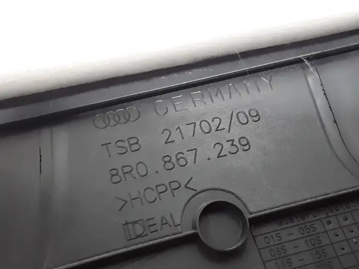 Audi Q5 SQ5 (2008 - 2012) 8R0867239 Нижняя обшивка стойки B — фото 2