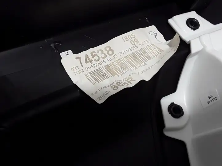 Renault Twingo III (2014 - )  829A01868R Обшивка задней двери