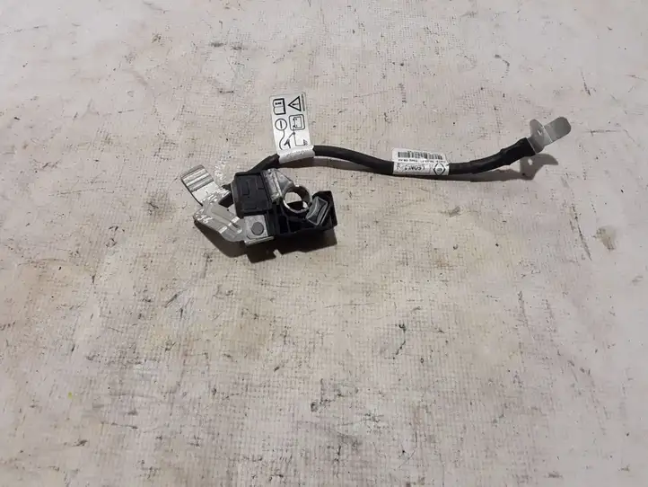 Dacia Sandero (2016 - )  250820499R Минусовый провод (аккумулятора)