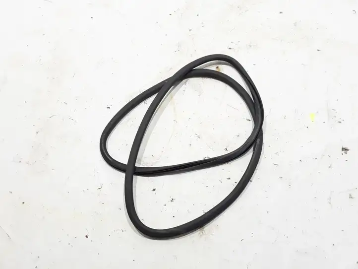 Porsche Panamera (2009 - 2013)  97053626601 Уплотнительная резина (на кузове)