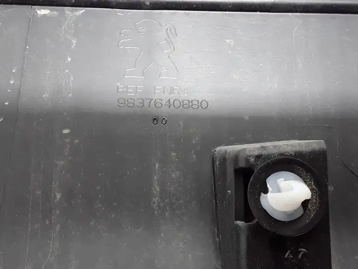 Peugeot 2008 II (2019 - ) 9837640880 Молдинги задней двери — фото 4