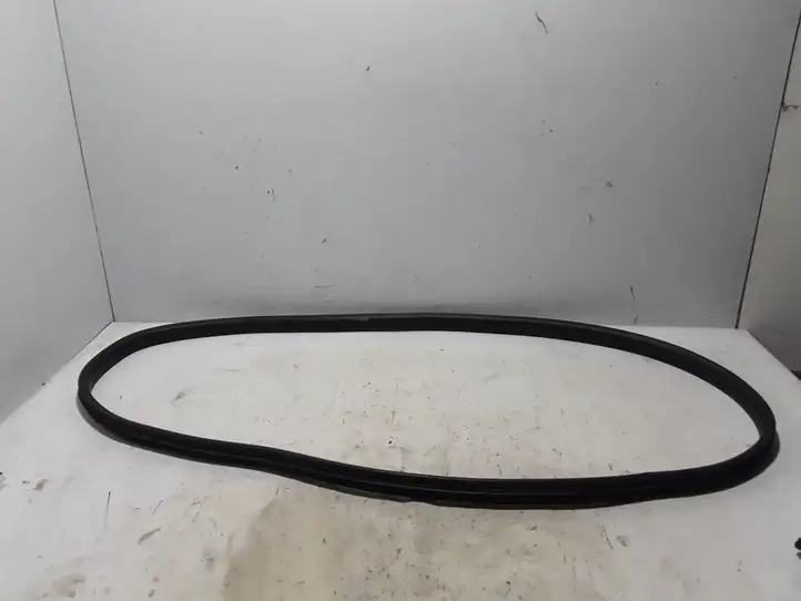 Dacia Sandero III (2016 - ) 769249935R Уплотнитель кузова — фото 1