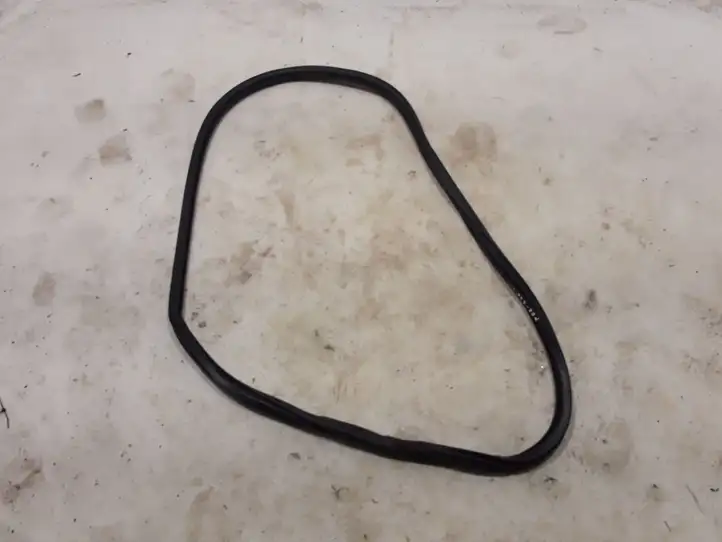 Peugeot 208 (2019 - )  9823214780 Уплотнительная резина (на кузове)