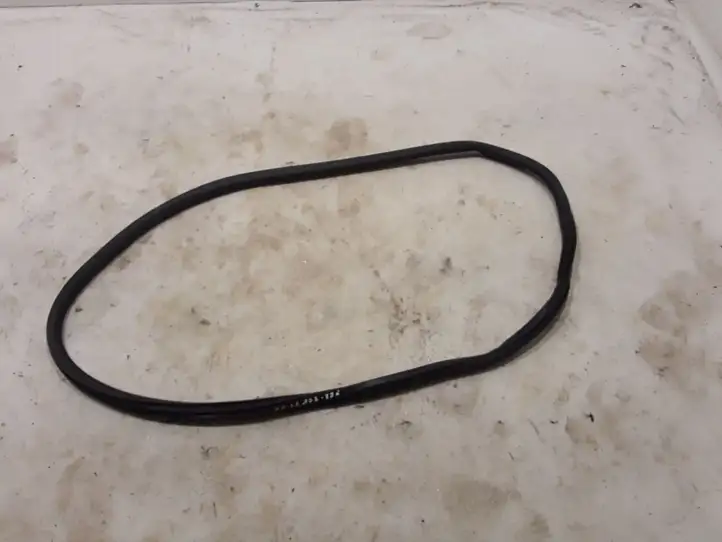 Peugeot 208 (2019 - )  9823214780 Уплотнительная резина (на кузове)