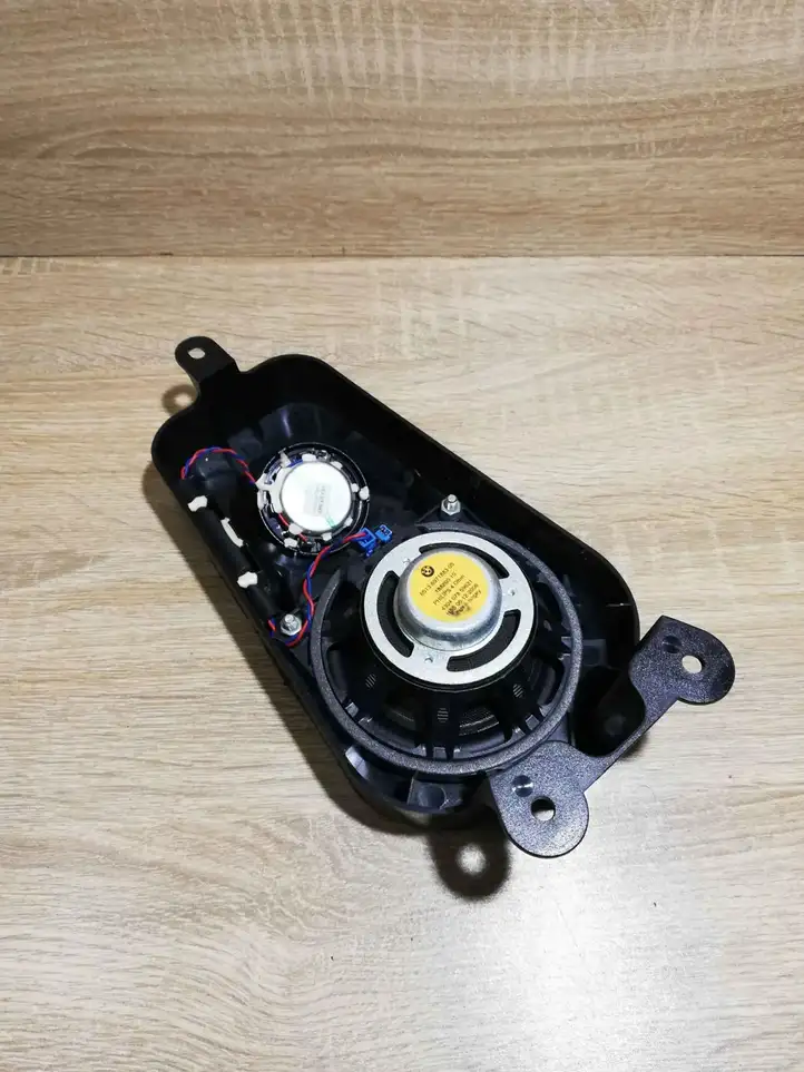 BMW X5 E70 (2006 - 2013) 6971883 Динамики задних дверей — фото 2