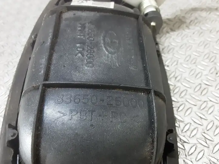 Hyundai Santa Fe (2000 - 2005) 8365026000 Наружная ручка задней двери — фото 2
