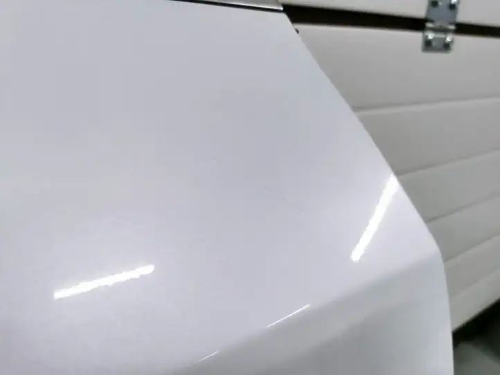Tesla Model 3 (2017 - 2023) Задняя дверь — фото 3