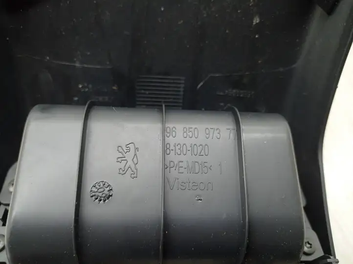 Peugeot 3008 I (2008 - 2015) 9685097377 Прочие детали салона — фото 6