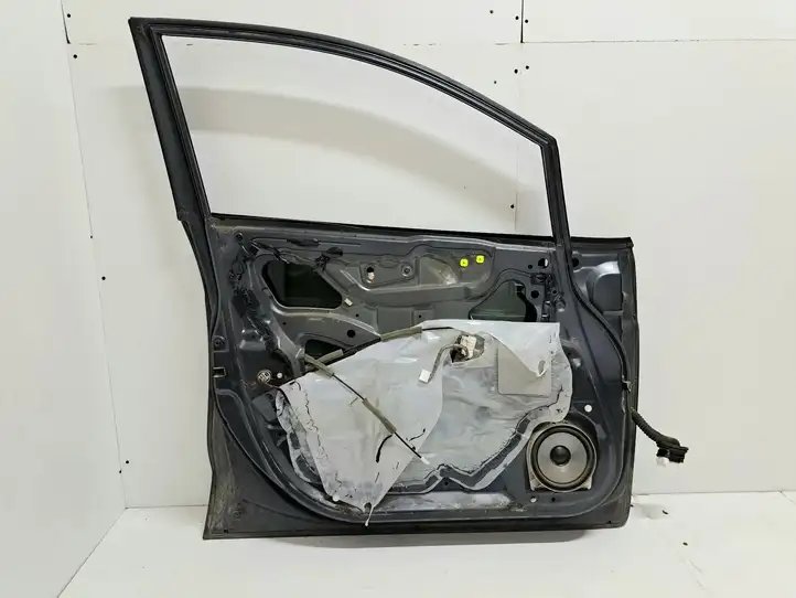 Honda FR-V (2004 - 2009) Дверь — фото 2