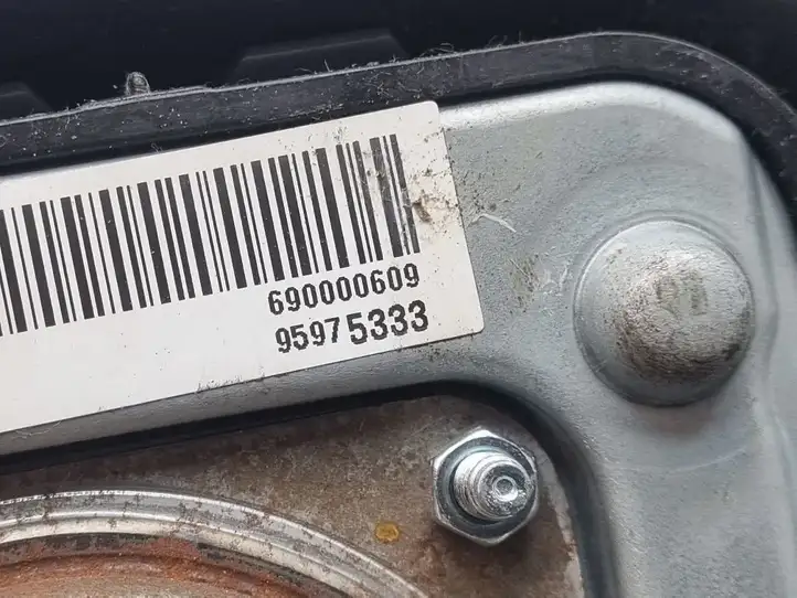 Chevrolet Spark (2009 - 2015) 95975333 Подушка безопасности руля — фото 2