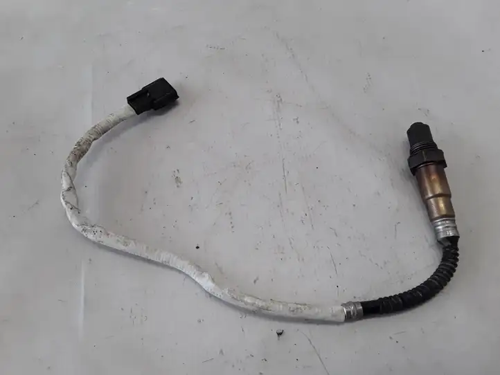 Dacia Duster (2010 - 2017)   Зонд «Lambda»