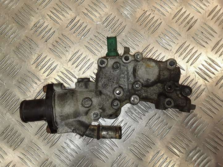 963470580 Peugeot 206 Termostatas/ termostato korpusas