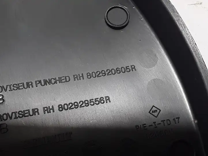 Dacia Duster (2017 - ) 802920605r Декоративная накладка передней двери — фото 3