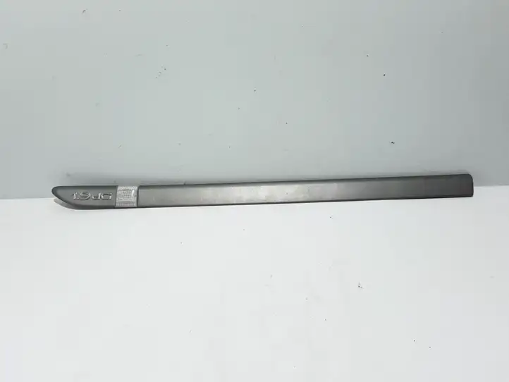 Renault Laguna (2001 - 2005)  8200036020 Отделка (молдинг) передней двери