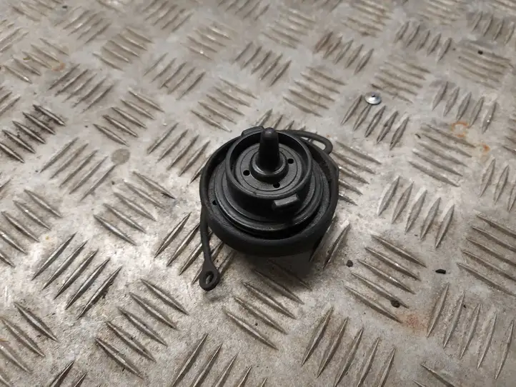 Volkswagen Golf V (2003 - 2009) Крышка топливного бака — фото 1