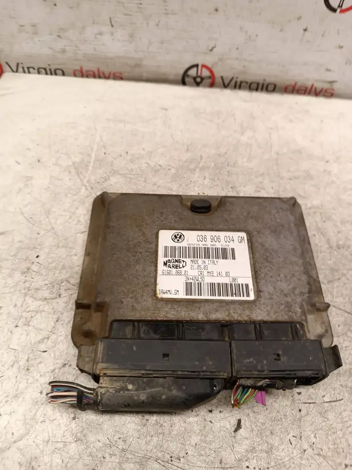Seat Ibiza III (6L) (2002 - 2008)  036906034GM Блок управления двигателя