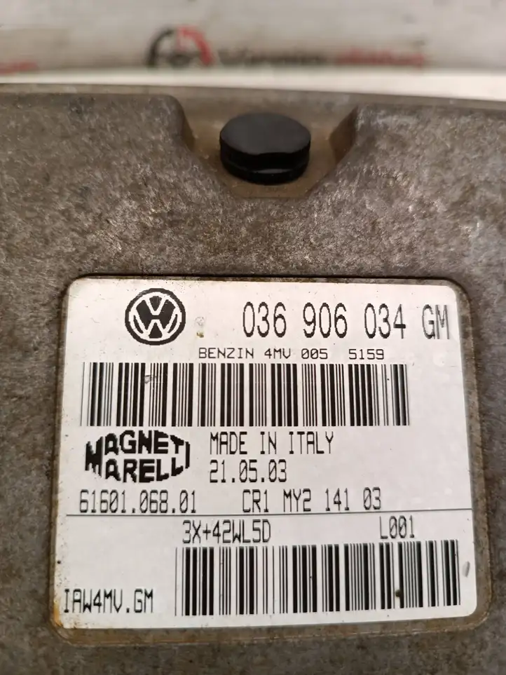 Seat Ibiza III (6L) (2002 - 2008)  036906034GM Блок управления двигателя