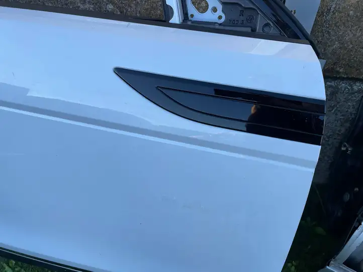 Land Rover Evoque II (2018 - ) Дверь — фото 13