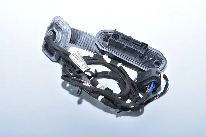 BMW 5 F10 F11 (2009 - 2016) 9256017 Проводка задней двери — фото 1