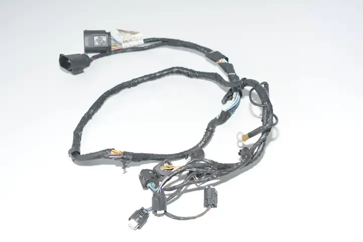 BMW X5 E70 (2006 - 2013) 9224415 Прочая электропроводка — фото 1