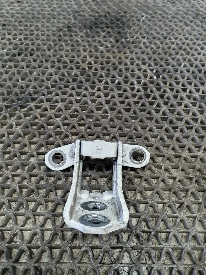 Nissan Juke I F15 (2010 - 2018) A048520 Нижняя петля задней двери — фото 4