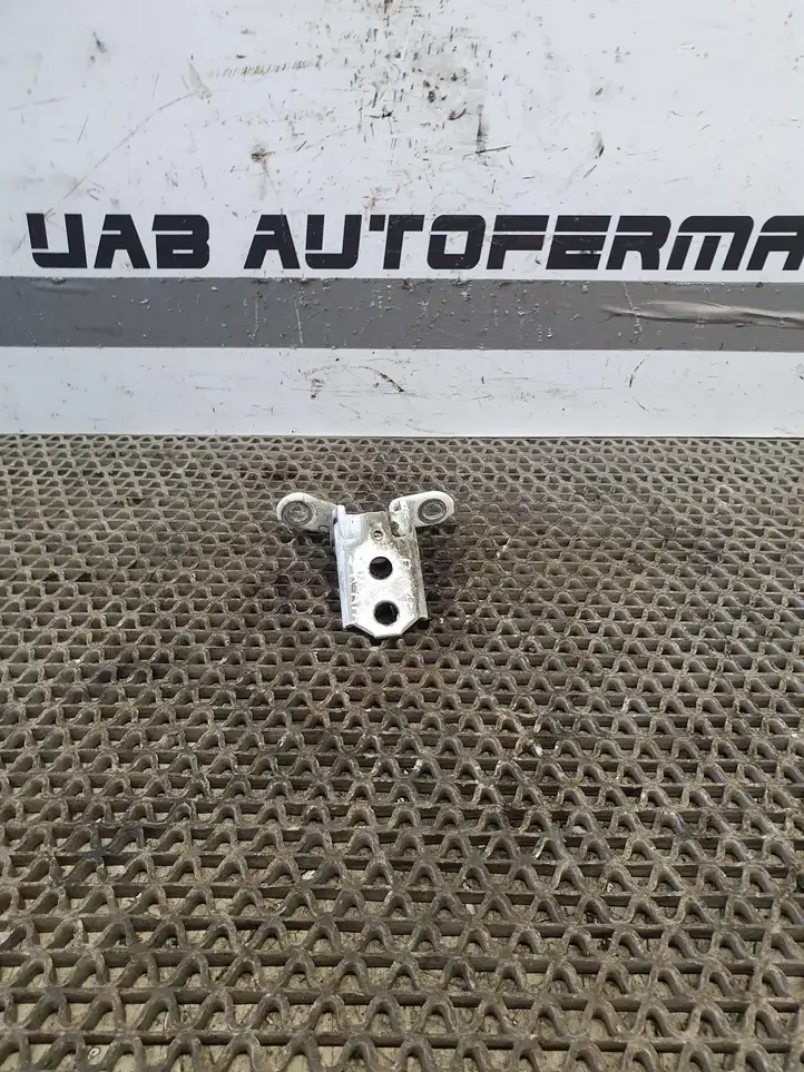 Nissan Juke I F15 (2010 - 2018) A048520 Нижняя петля задней двери — фото 1