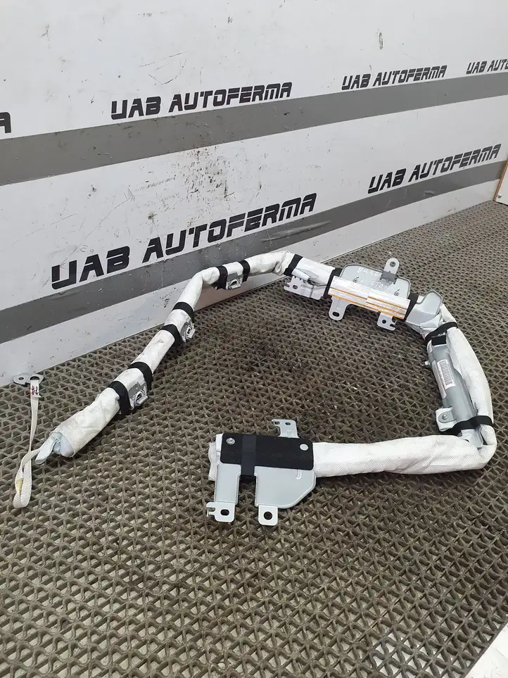 Nissan Juke I F15 (2010 - 2018) 34120167 Боковая подушка безопасности шторка — фото 3