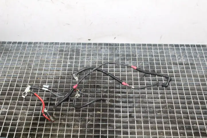 Mini Cooper Countryman R60 (2010 - 2016) 61236697 Плюсовой провод аккумулятора — фото 1
