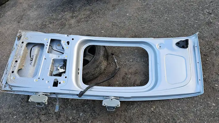 Renault Trafic II (X83) (2002 - 2014) Задняя дверь — фото 7