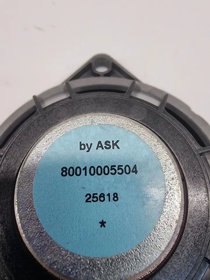 BMW 5 G30 G31 (2016 - ) 80010005504 Динамики задних дверей — фото 3