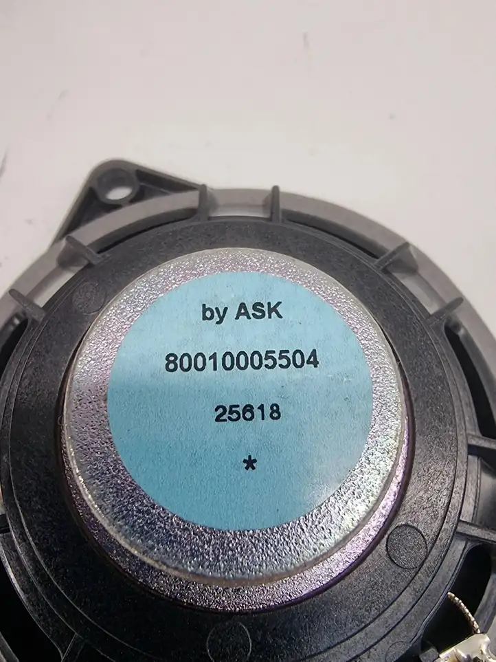 BMW 5 G30 G31 (2016 - ) 80010005504 Динамики задних дверей — фото 3