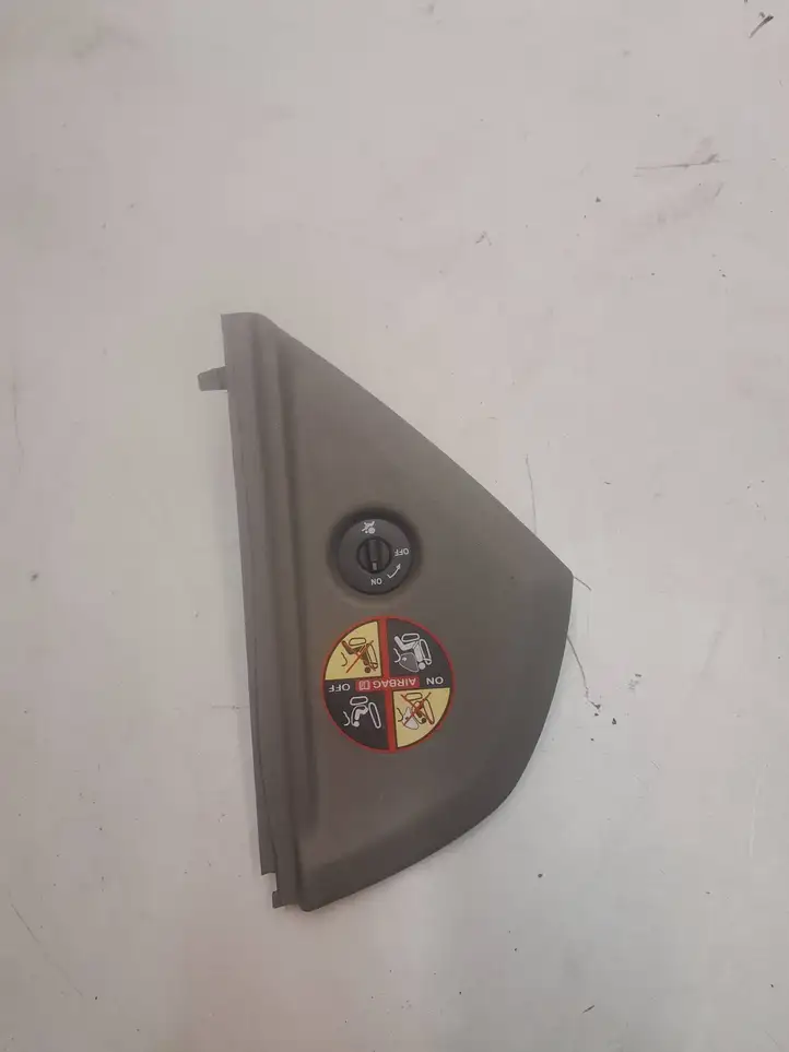 Renault Scenic II - Grand scenic II (2006 - 2009) 8200141018 Боковая отделка панели приборов — фото 1