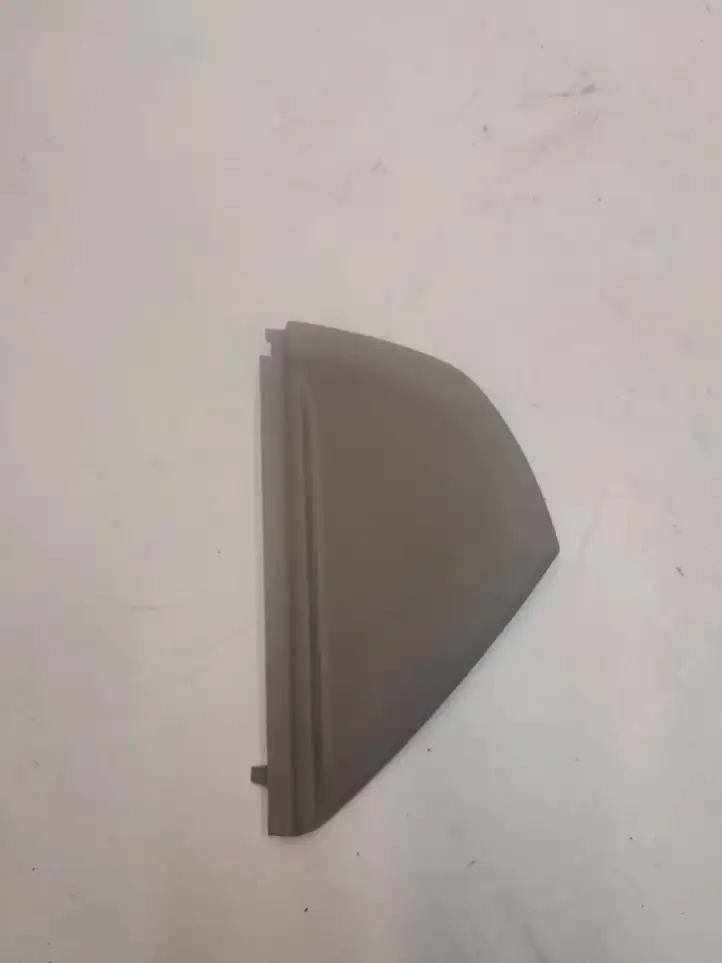 Renault Scenic II - Grand scenic II (2006 - 2009) 8200141025 Боковая отделка панели приборов — фото 1