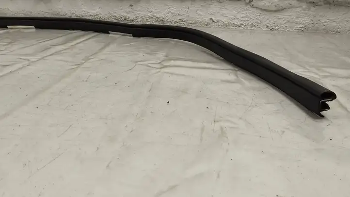 Mercedes-Benz AMG GT 4 x290 w290 (2018 - )  A1906970451 Уплотнительная резина передней двери (на кузове)