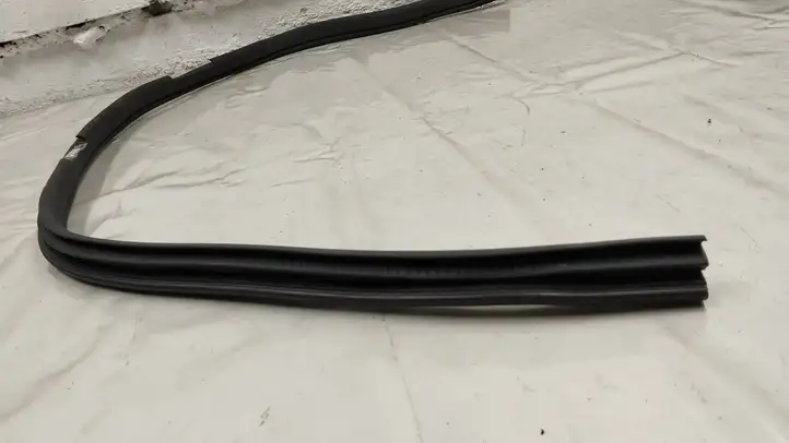 Mercedes-Benz AMG GT 4 x290 w290 (2018 - )  A1906970451 Уплотнительная резина передней двери (на кузове)