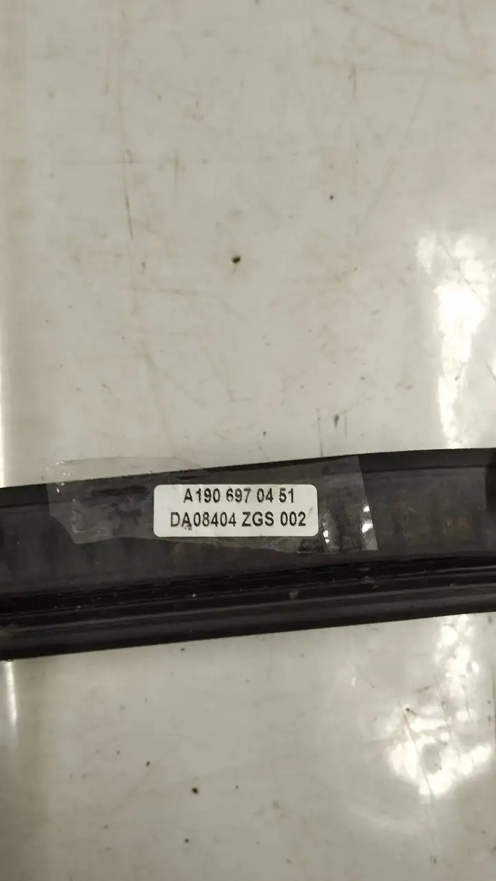 Mercedes-Benz AMG GT 4 x290 w290 (2018 - )  A1906970451 Уплотнительная резина передней двери (на кузове)