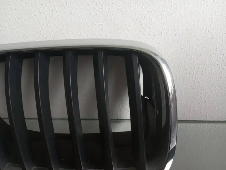 BMW X5 E70 (2006 - 2013) 7171396 Верхняя решетка радиатора — фото 5