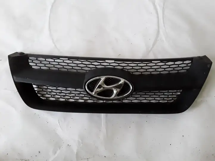 Hyundai Sonata (2003 - 2007) 862512 Верхняя решетка радиатора — фото 1