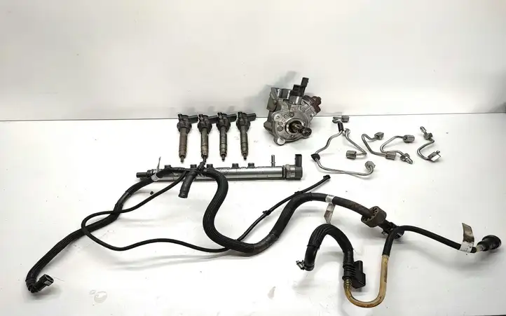 BMW X1 E84 (2009 - 2015) 8510865 Комплект системы впрыска — фото 1