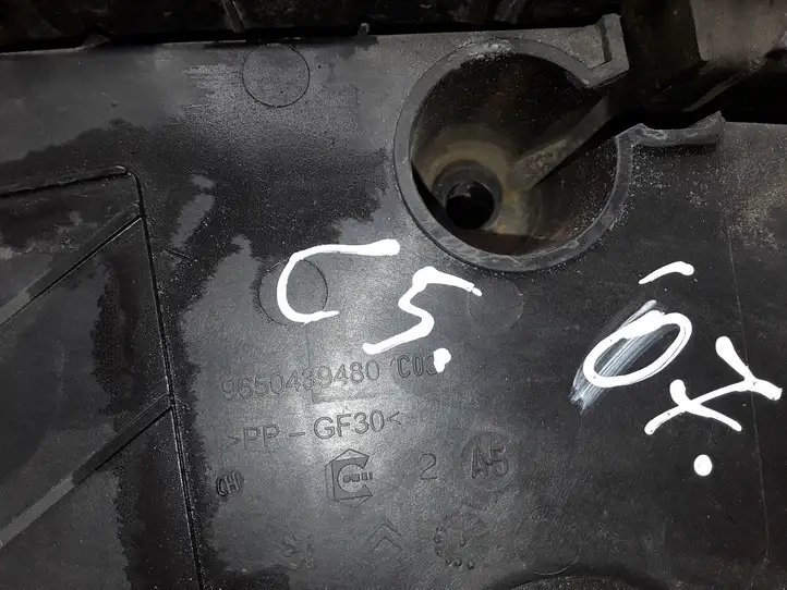 Citroen C5 (2004 - 2008) 9650439480 Площадка аккумулятора — фото 3