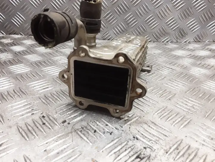 Skoda Octavia Mk2 (1Z) (2004 - 2013)  036131513J Охладитель EGR