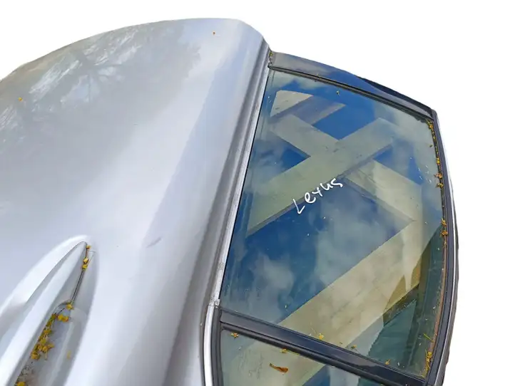 Lexus IS 220D-250-350 (2005 - 2010) Задняя дверь — фото 4