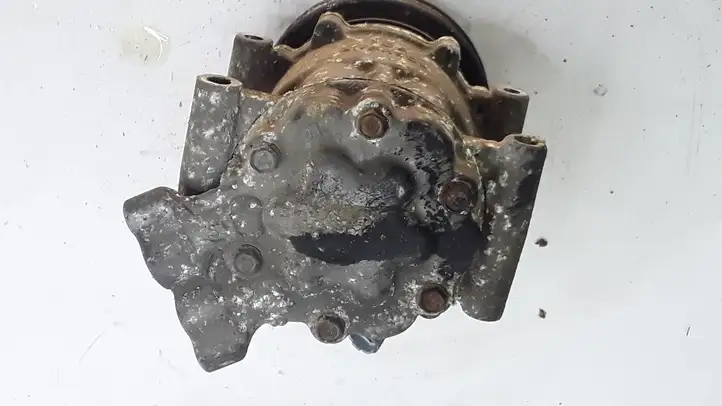 Renault Modus (2004 - 2007)  8200365787 Компрессор (насос) кондиционера воздуха