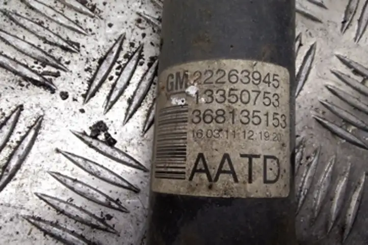 Opel Meriva (2010 - 2014)  22263945 Задний амортизатор с пружиной